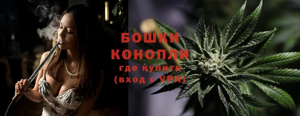 прущие грибы Богданович