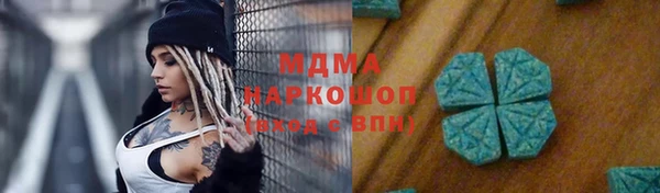 прущие грибы Богданович