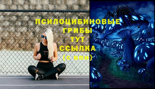 прущие грибы Богданович