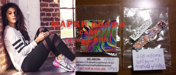 прущие грибы Богданович