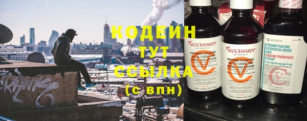 прущие грибы Богданович
