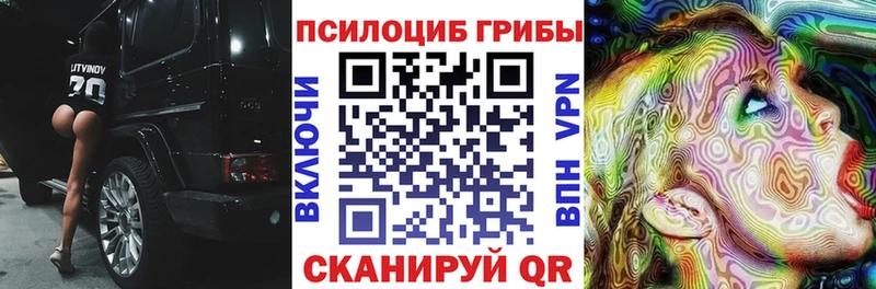 наркошоп Шилка Галлюциногенные грибы мухоморы